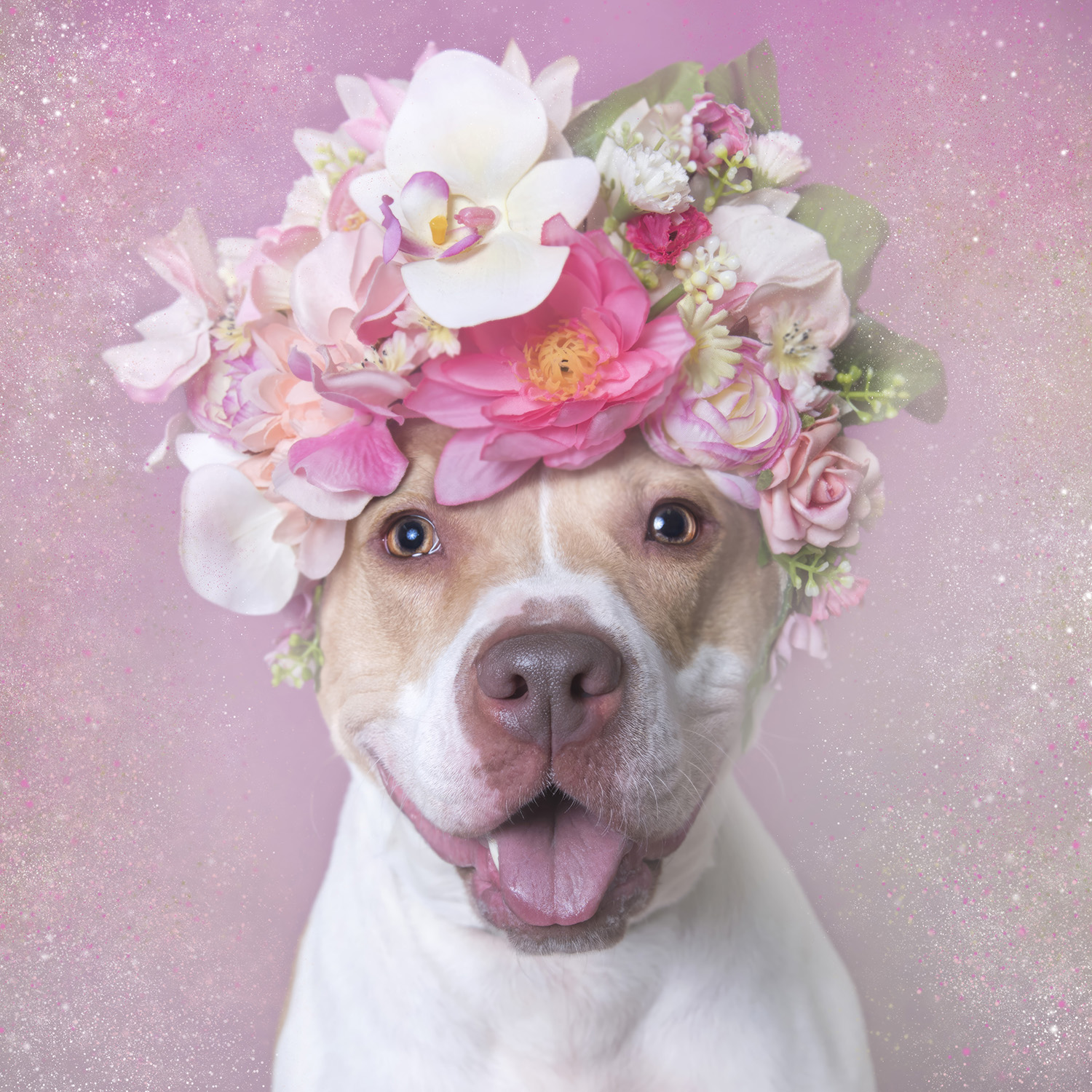 Blossom
